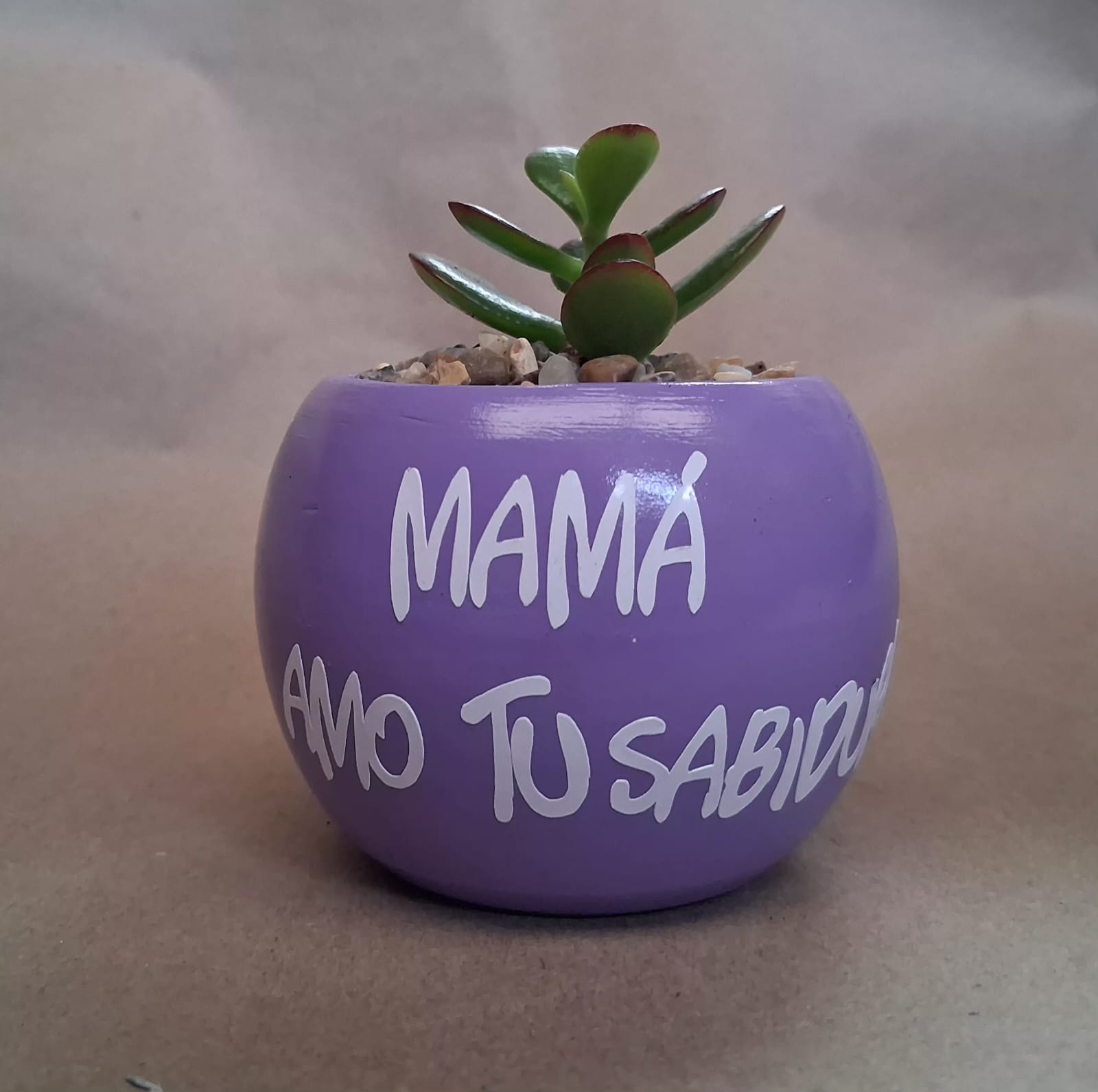 Matera con suculenta Personalizada