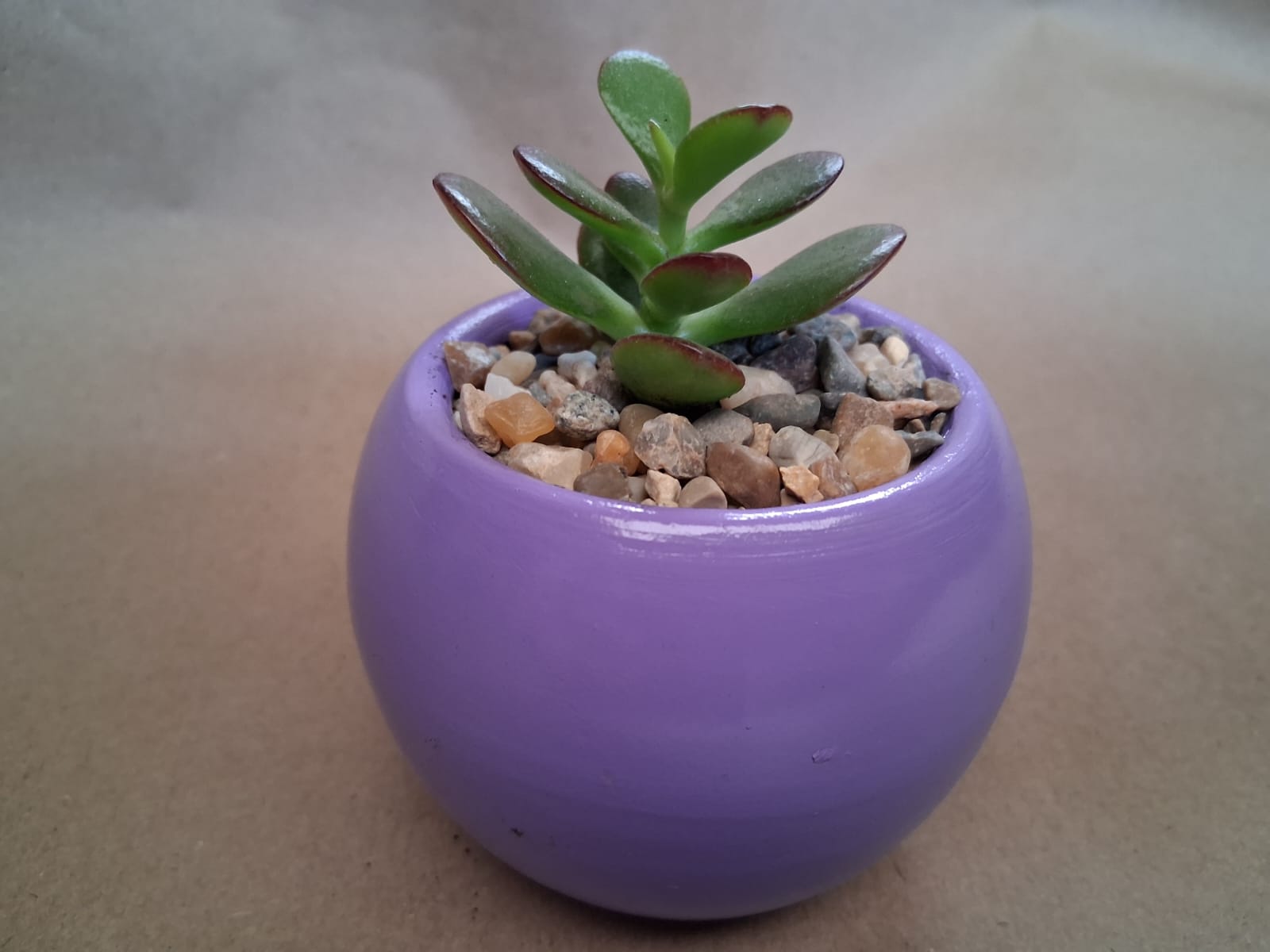 Matera con suculenta Personalizada