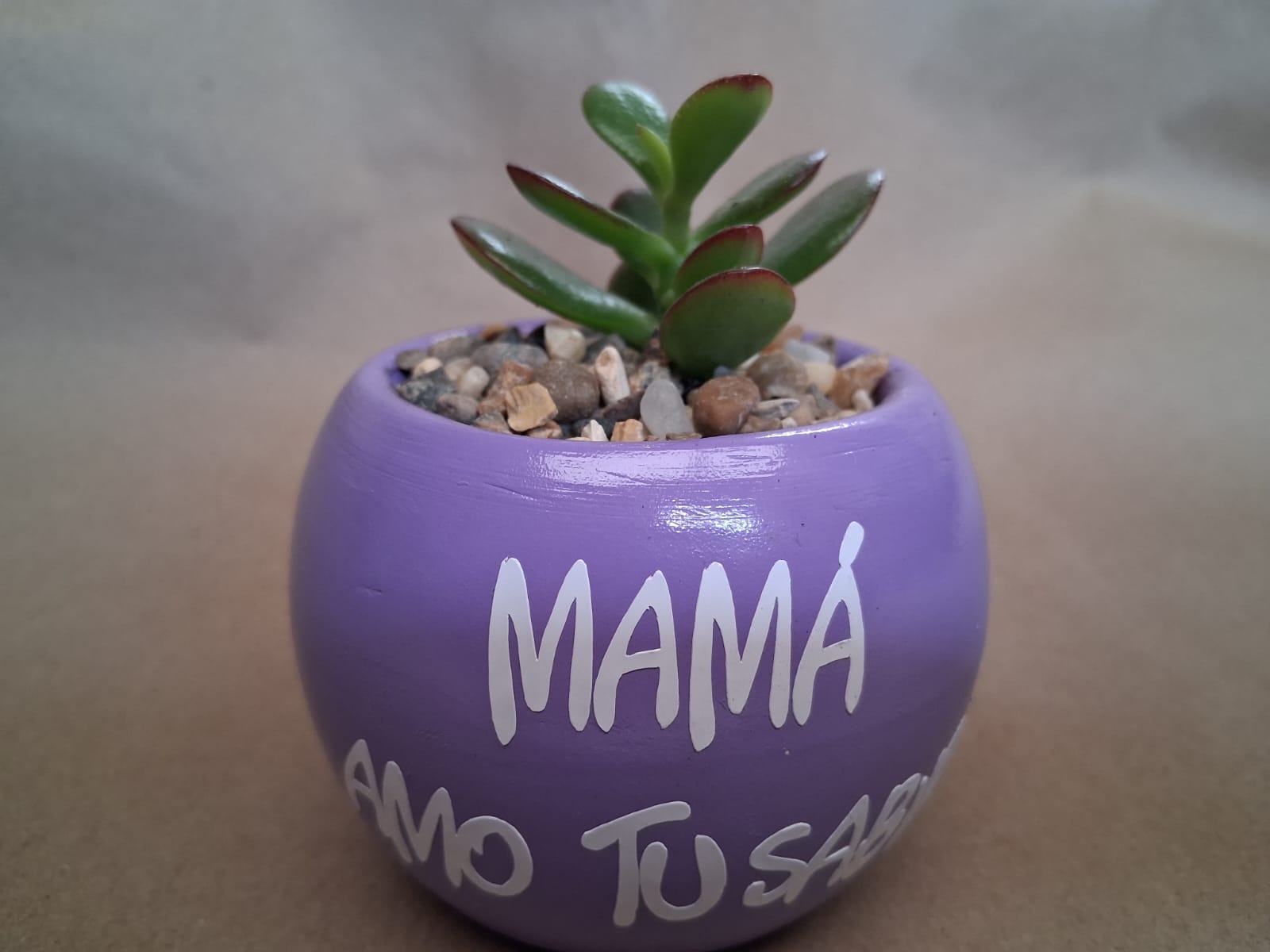 Matera con suculenta Personalizada